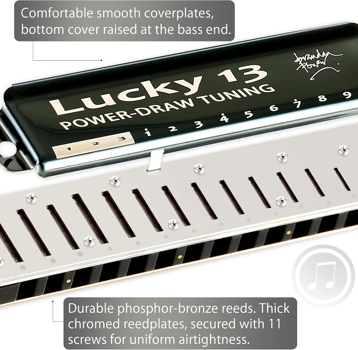 13 Holes Diatonic Harmonica in C Key for Adults B230