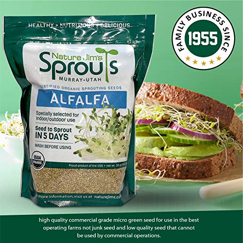 Organic Wheatgrass Seeds for Sprouting, Rich in Vitamins and Fiber P167