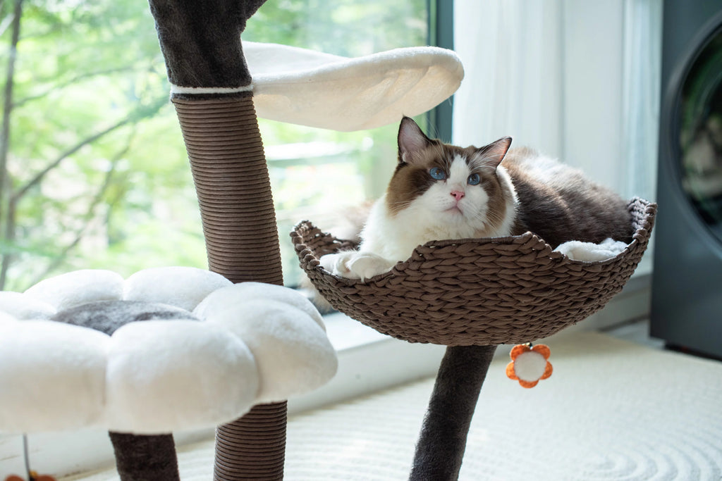 Natural Blossom Woven Tree Branches 6-Level Cat Tower with Hammock and Padded Perches L605