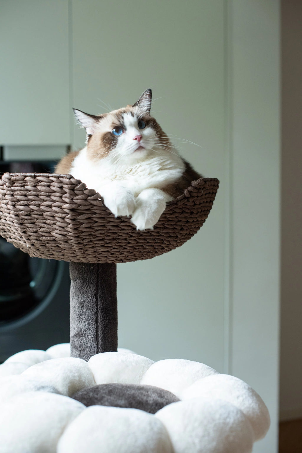 Natural Blossom Woven Tree Branches 6-Level Cat Tower with Hammock and Padded Perches L605