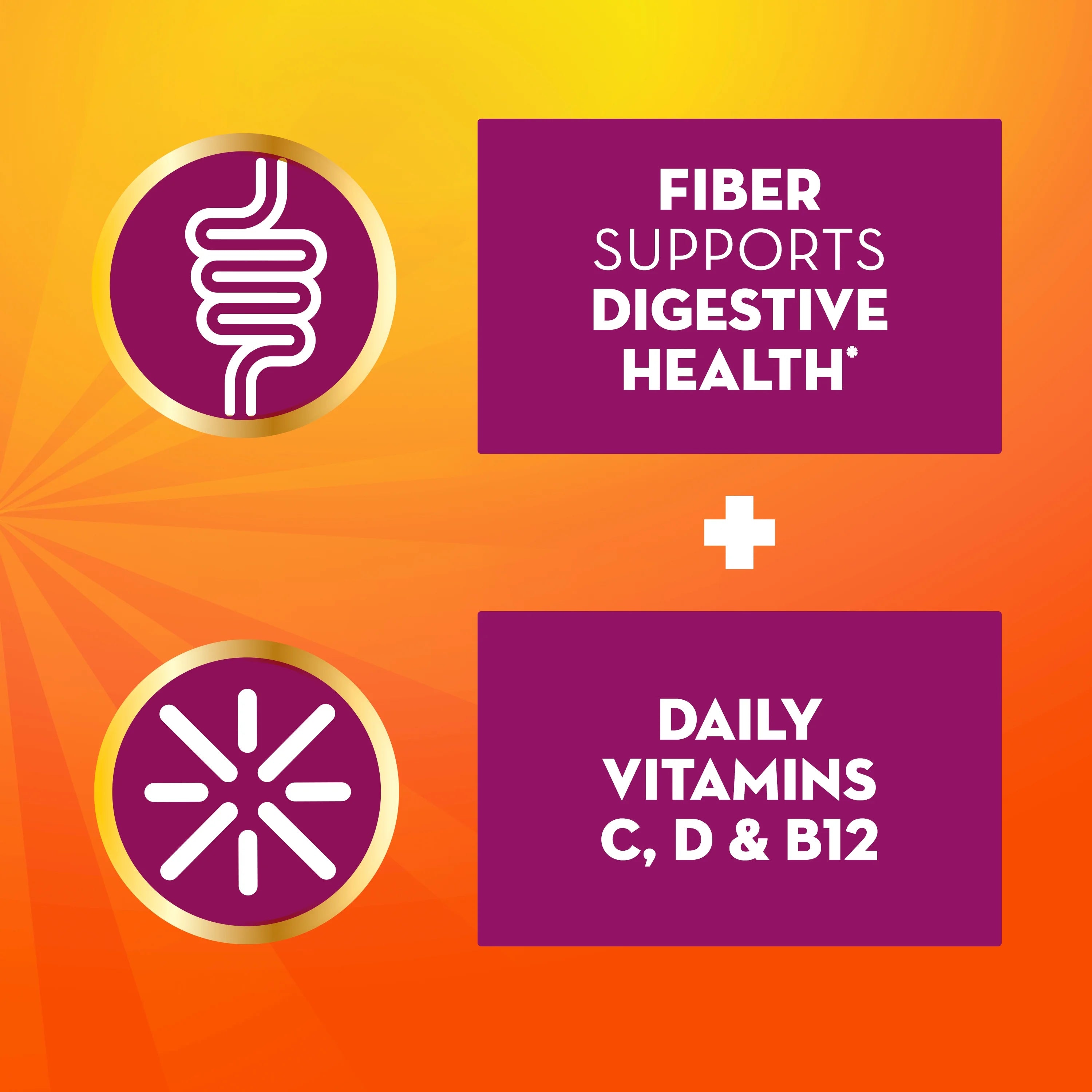 Daily Fiber Supplement with Vitamins C, D & B12, Sparkling Citrus Drink, 50 Servings V3763