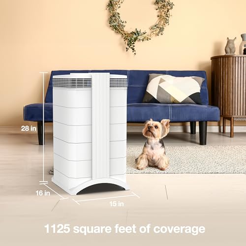 Compact Air Purifier for Rooms up to 1240 sq ft I16471