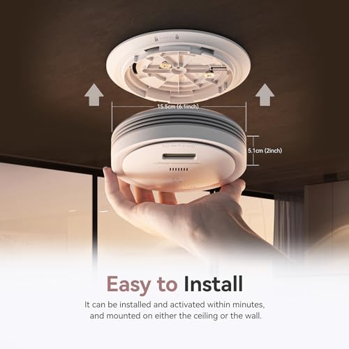 Smoke and Carbon Monoxide Detector Combo with LCD Display, 10-Year Battery P11769