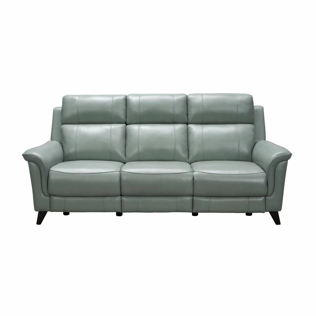Leather Power Reclining Sofa U419