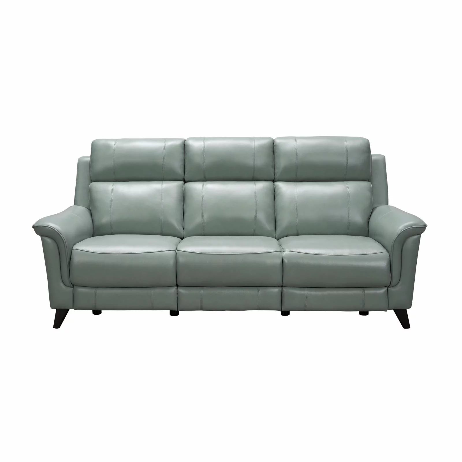 Leather Power Reclining Sofa U419