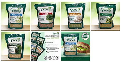 Organic Wheatgrass Seeds for Sprouting, Rich in Vitamins and Fiber P167