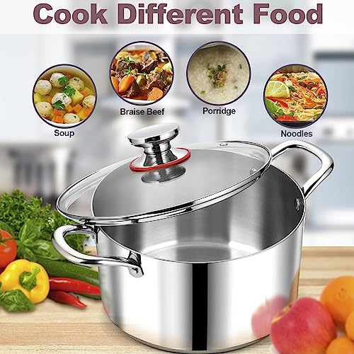 Stainless Steel Stock Pot with Lid, 12 Quart Soup Pot H83901