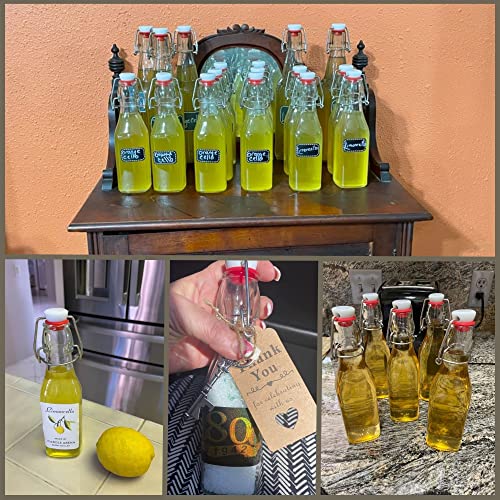 6-Pack 8.5oz Swing Top Glass Bottles with Airtight Caps Y62856
