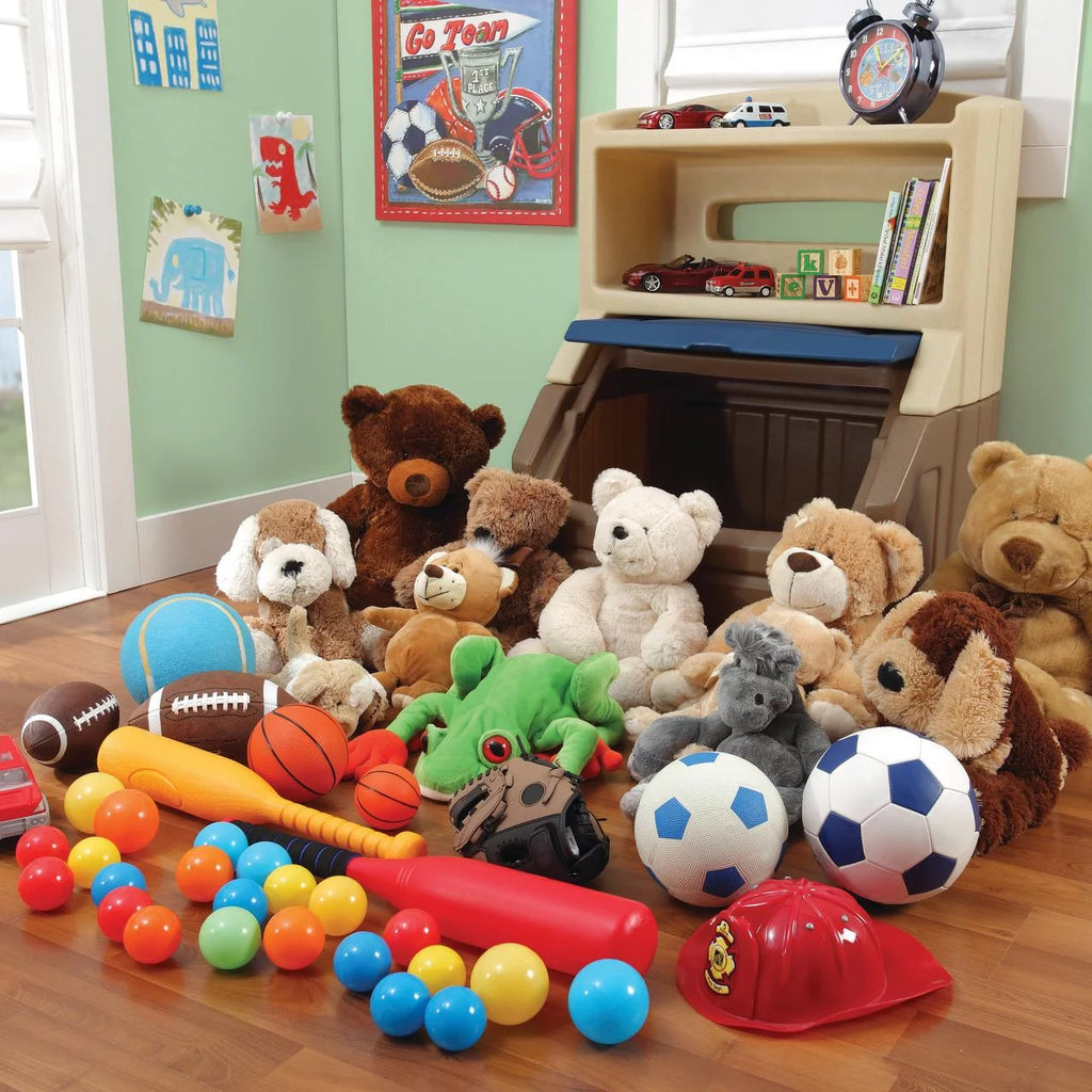 Plastic Toddler Bookcase and Toy Storage Box M166