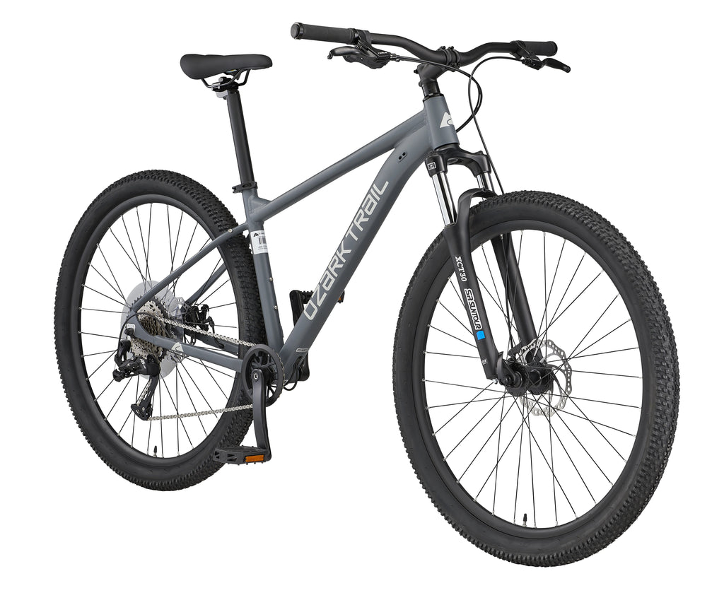 29" Mountain Bike, Medium Frame, Gray Q12690