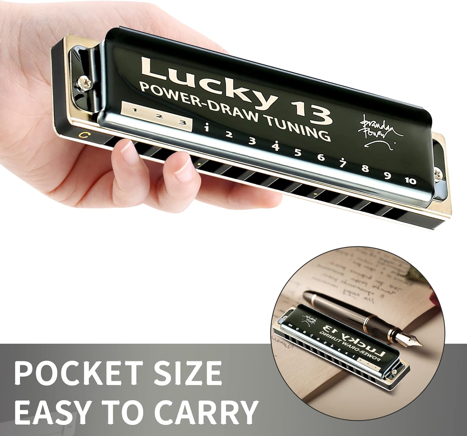 13 Holes Diatonic Harmonica in C Key for Adults B230