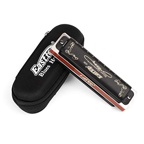 Harmonica Key of G 10 Hole 20 Tone with Case and Cleaning Cloth W30364