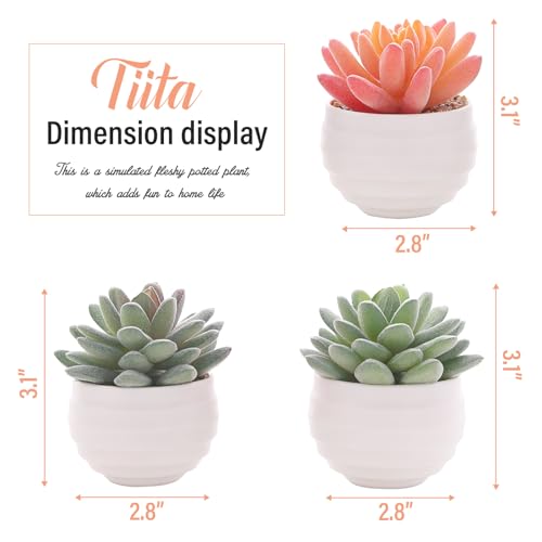 Artificial Succulents in Pots Fake Plants Ceramic Planter Desk Decoration S2622