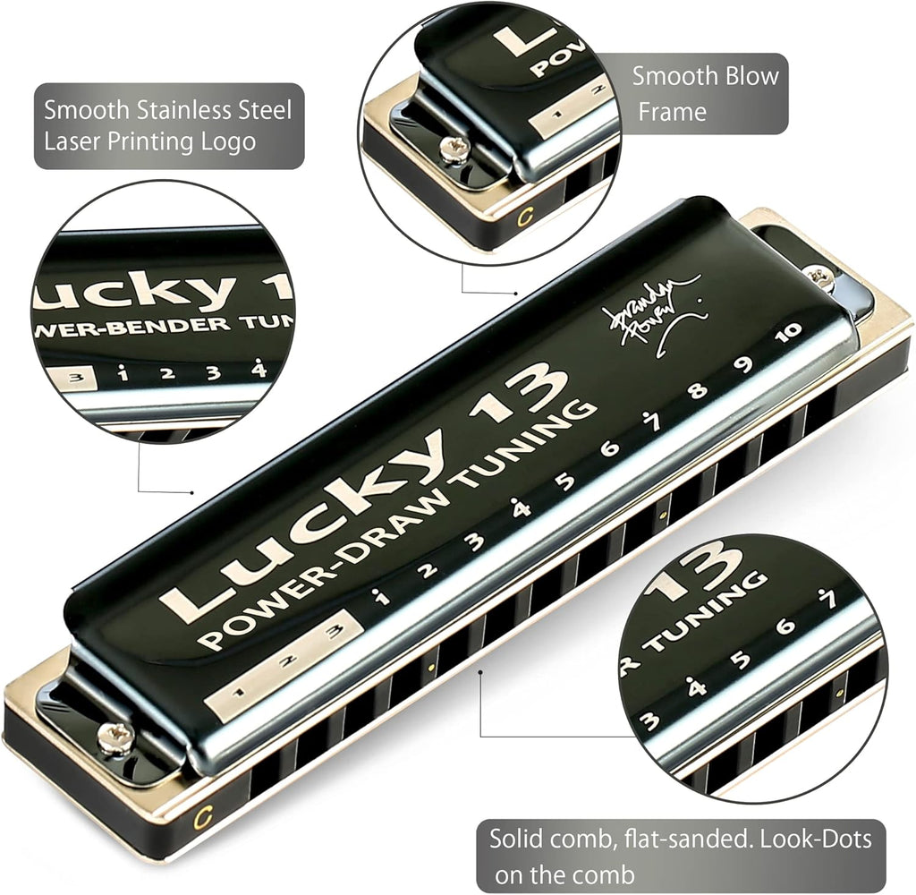 13 Holes Diatonic Harmonica in C Key for Adults B230