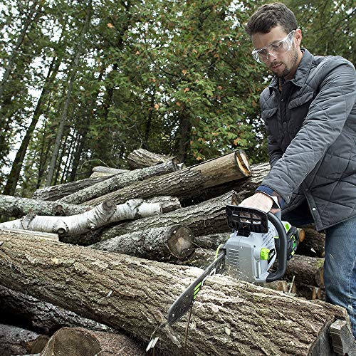 16-Inch 56V Cordless Chainsaw F836