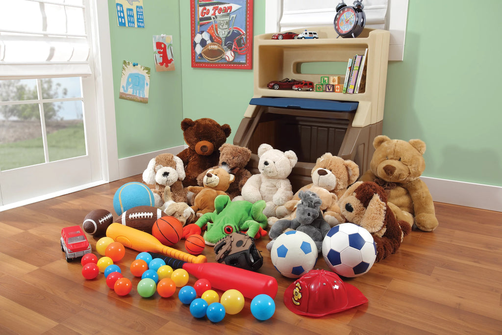 Plastic Toddler Bookcase and Toy Storage Box M166