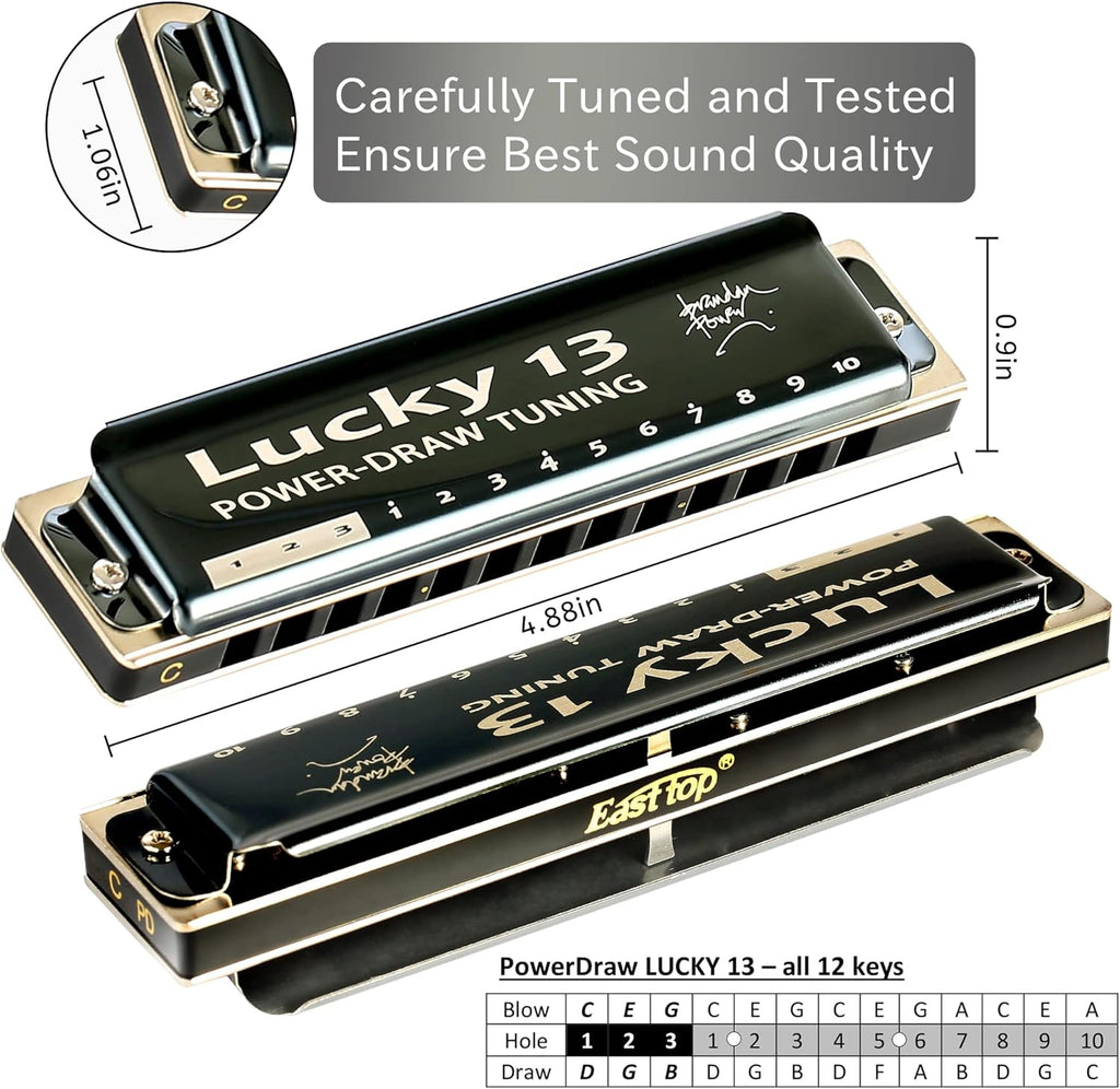 13 Holes Diatonic Harmonica in C Key for Adults B230