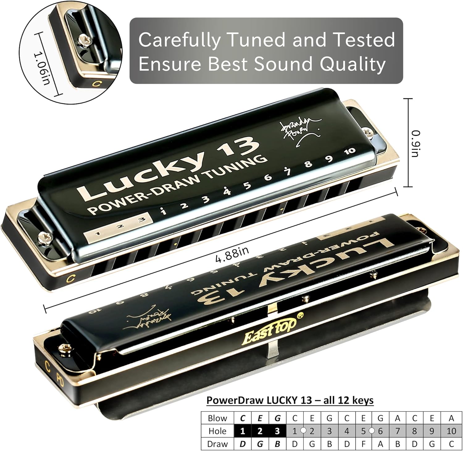 13 Holes Diatonic Harmonica in C Key for Adults B230
