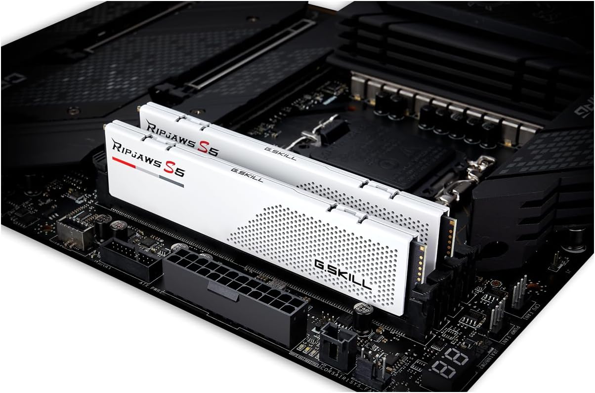 DDR5 5200 64GB (2 x 32GB) Desktop RAM Z4489