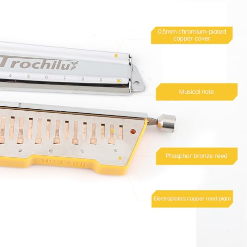 10 Holes Chromatic Harmonica Key of Bb with Case U78076