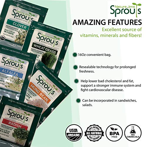 Organic Wheatgrass Seeds for Sprouting, Rich in Vitamins and Fiber P167