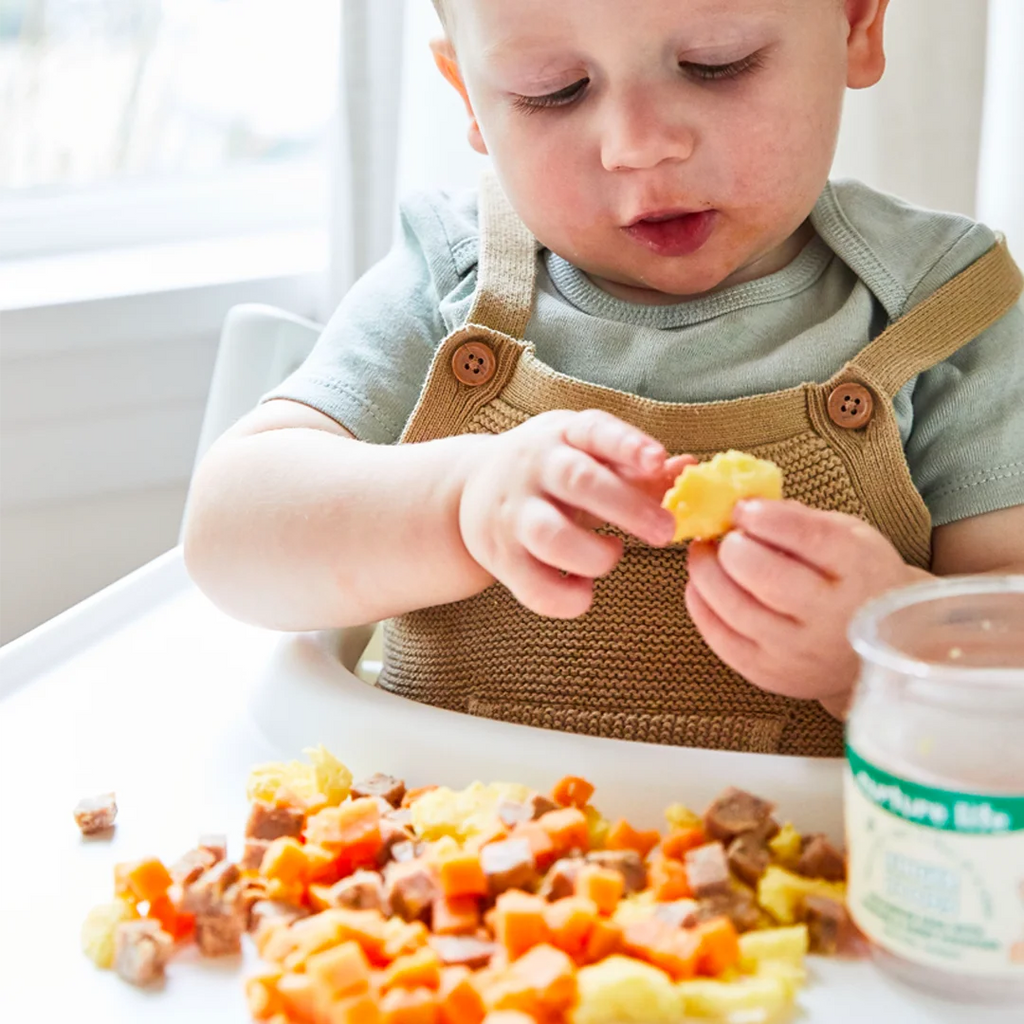 Organic Baby Stage 3 Finger Food Variety Pack, 12 Meals J773
