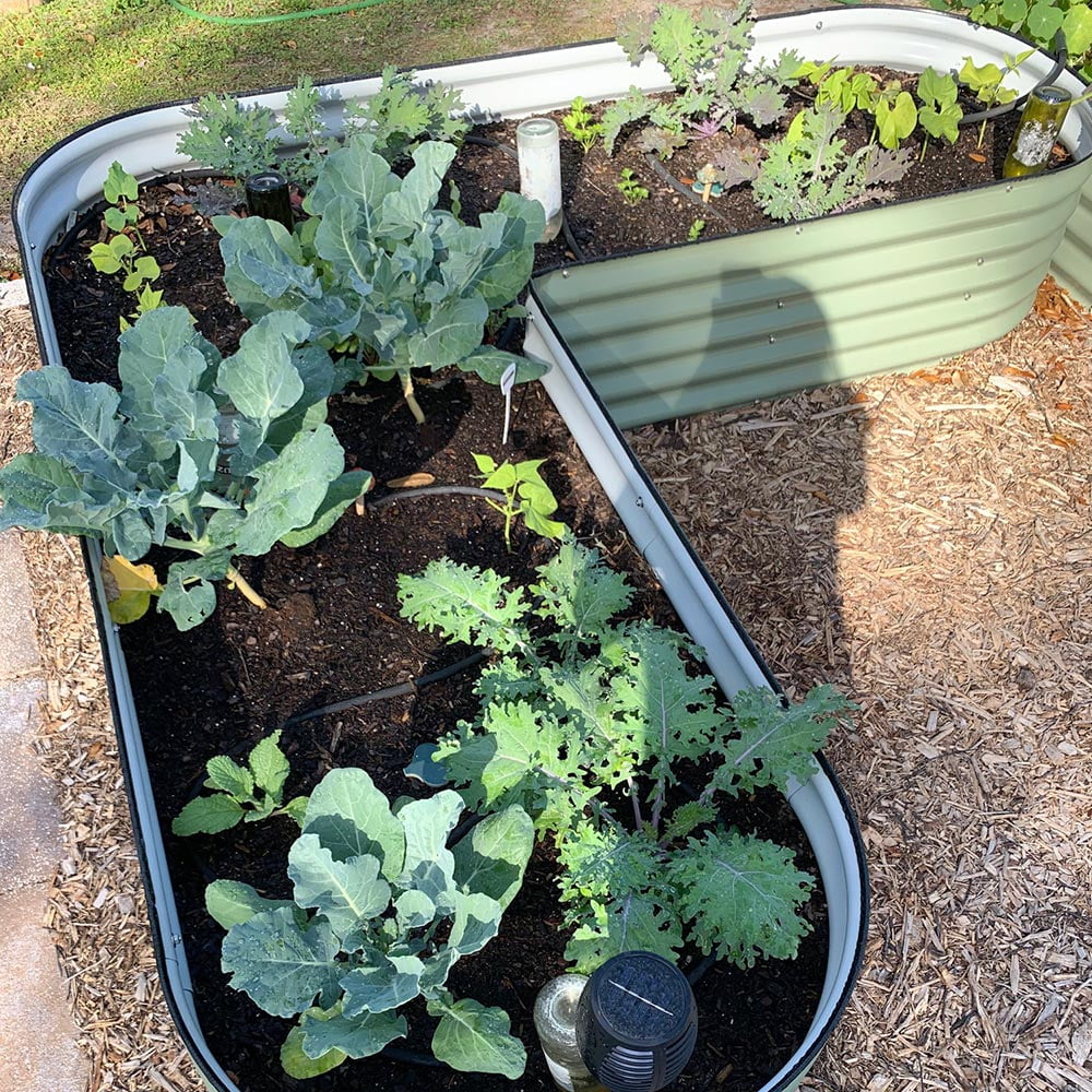 L-Shaped Modular Metal Raised Garden Beds, 17" Tall, Large Size B7657