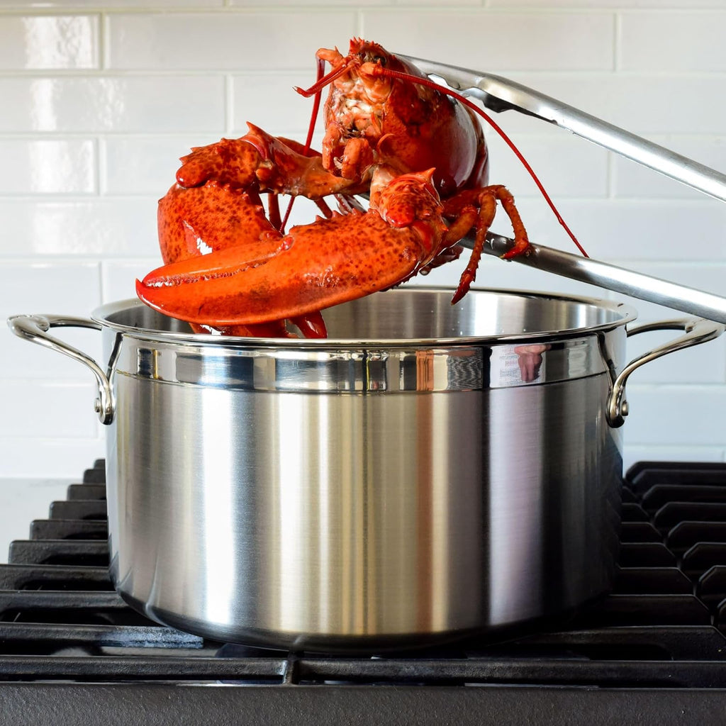 5-Piece Clad Stainless Steel Cookware Set P5466