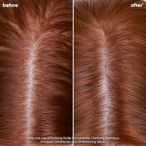 Clarifying Shampoo & Conditioner Set for Oily Hair and Scalp D234