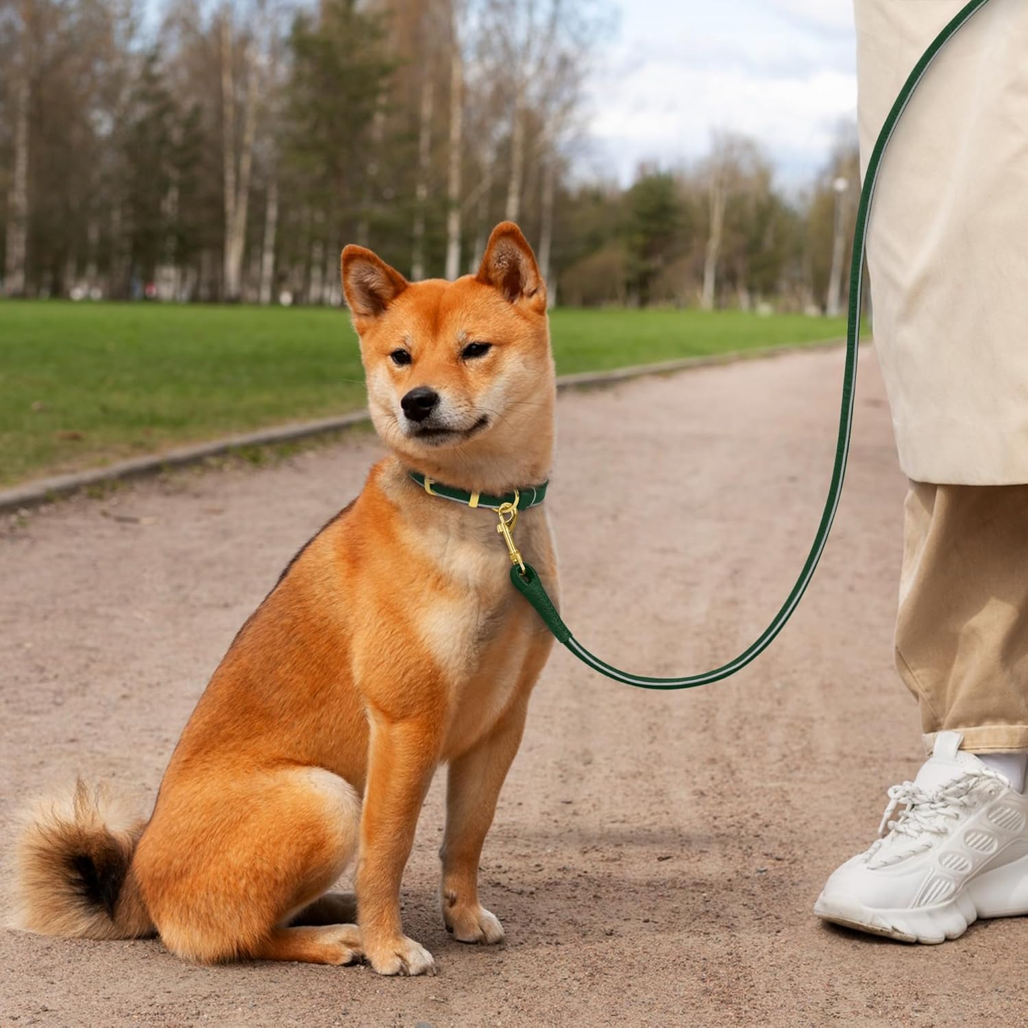 Small Rolled Leather Dog Collar and Leash Set Reflective 6ft, Green S2951