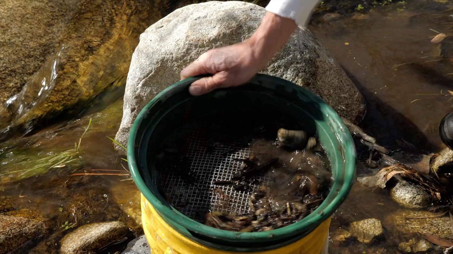 Gold Panning Kit with Classifiers, Pans, Tweezers and Vials T363