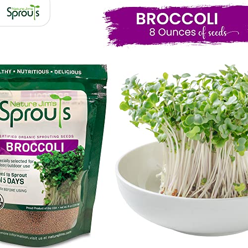 Broccoli Sprout Seeds for Indoor or Outdoor Use, 8oz T1613
