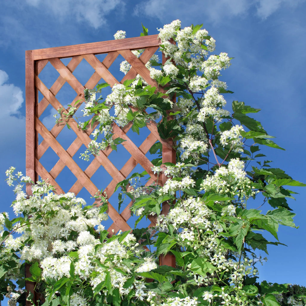Diamond Lattice Trellis 72 in. Walnut-Tone G214494