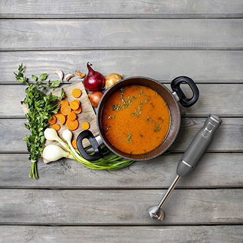 Immersion Hand Blender with Stainless Steel Shaft, 2-Speed Control, 300 Watts P2097