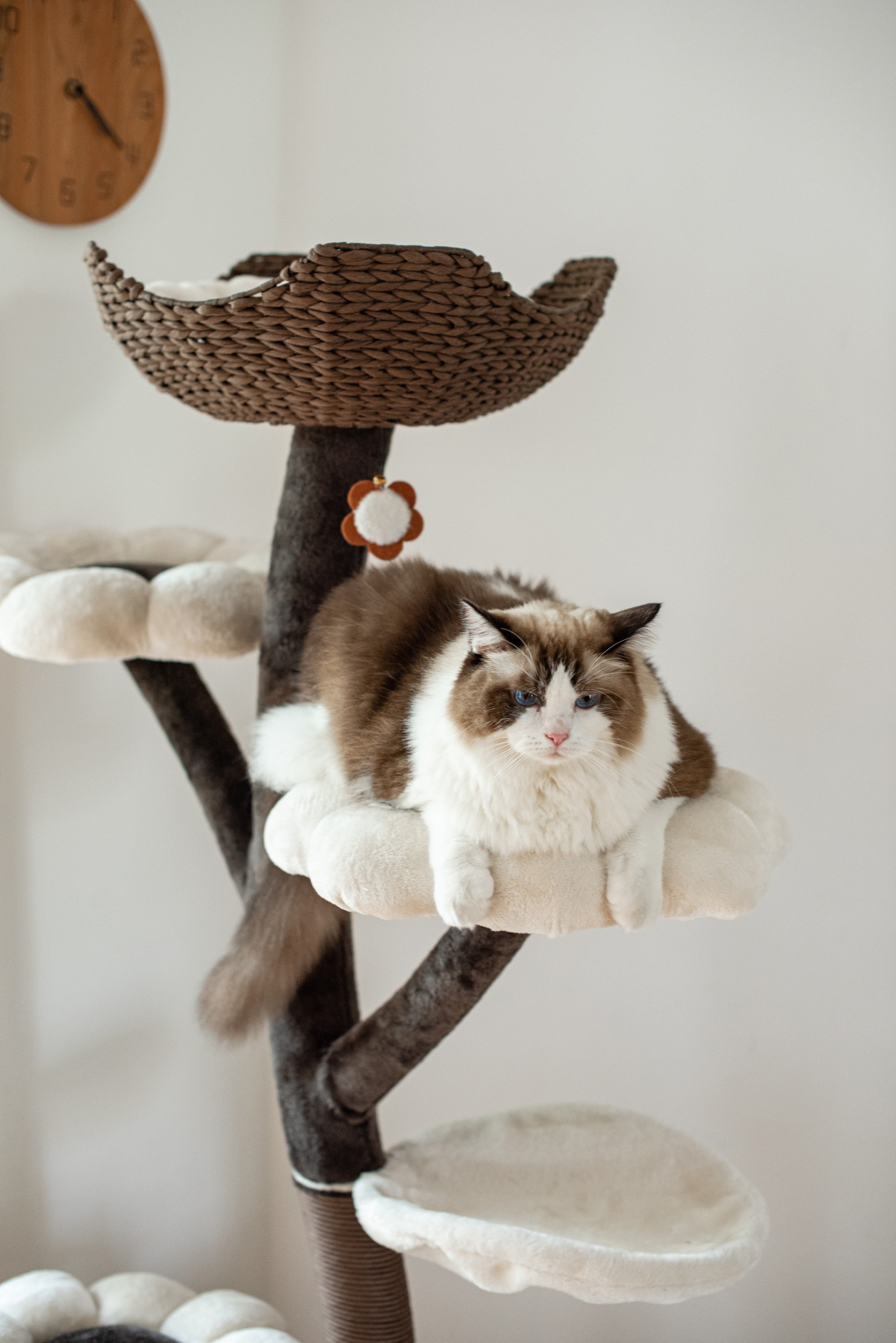 Natural Blossom Woven Tree Branches 6-Level Cat Tower with Hammock and Padded Perches L605