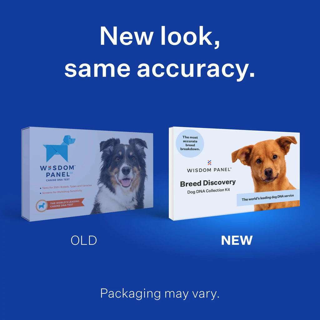 Dog DNA Test Kit for Breed Discovery F645924