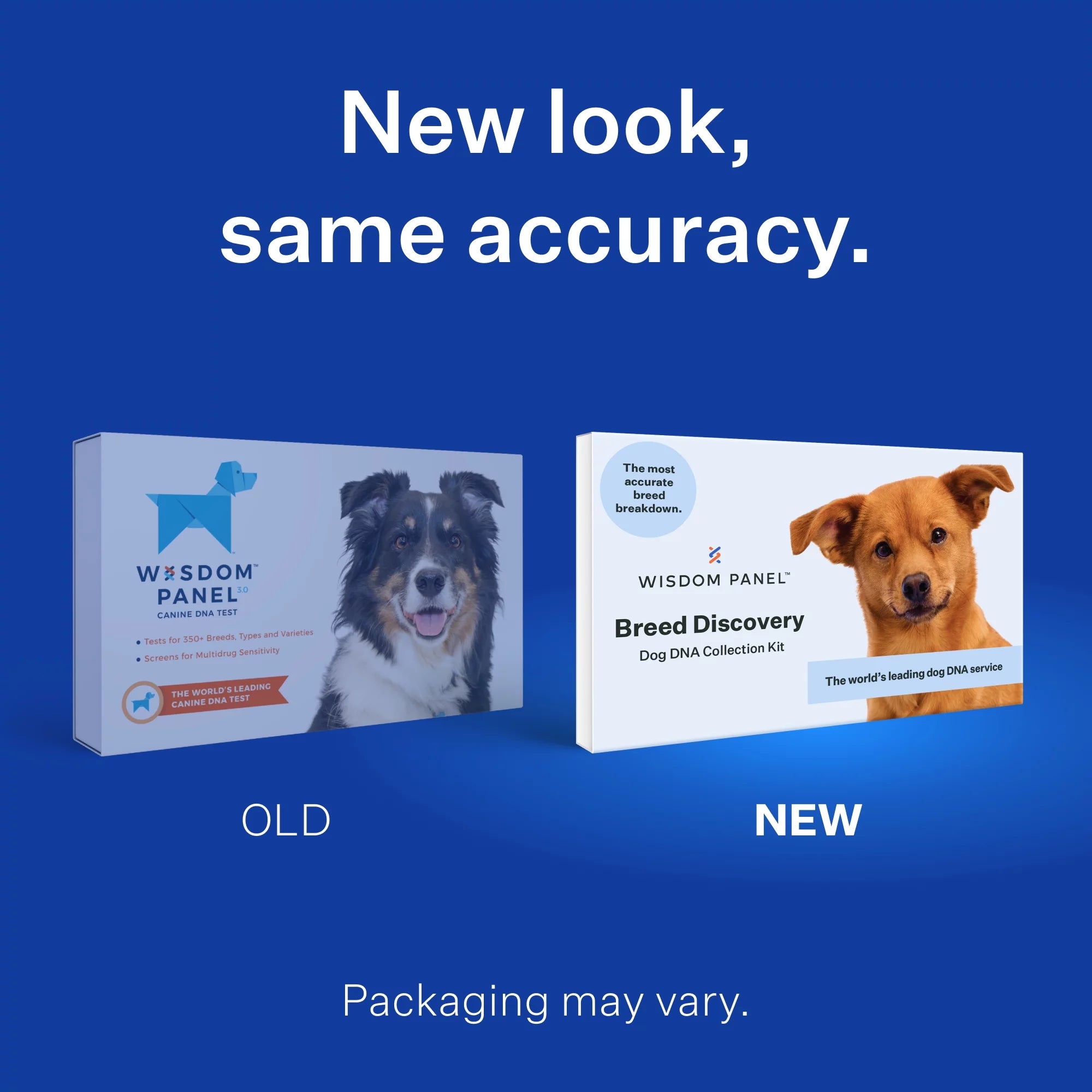 Dog DNA Test Kit for Breed Discovery F645924