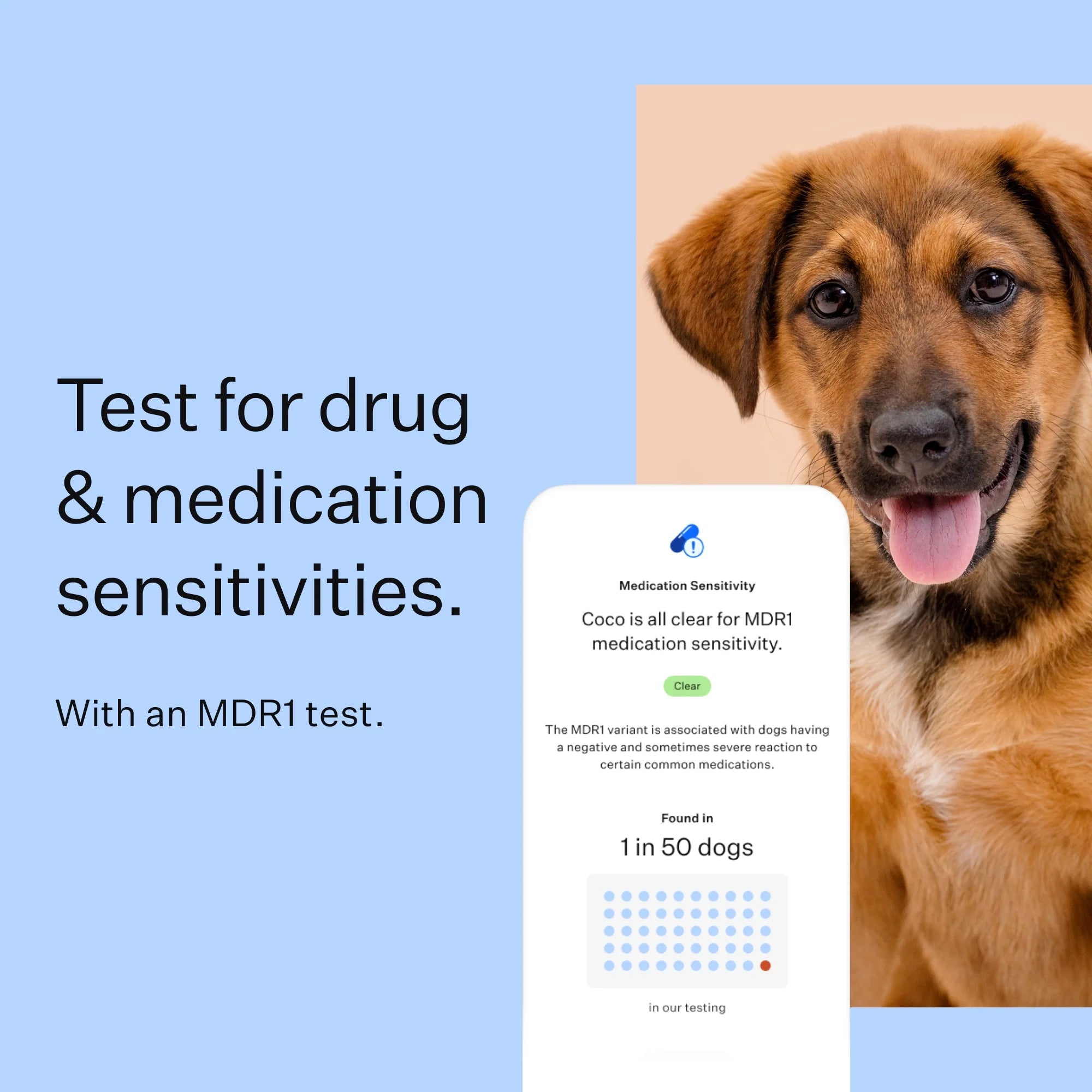 Dog DNA Test Kit for Breed Discovery F645924