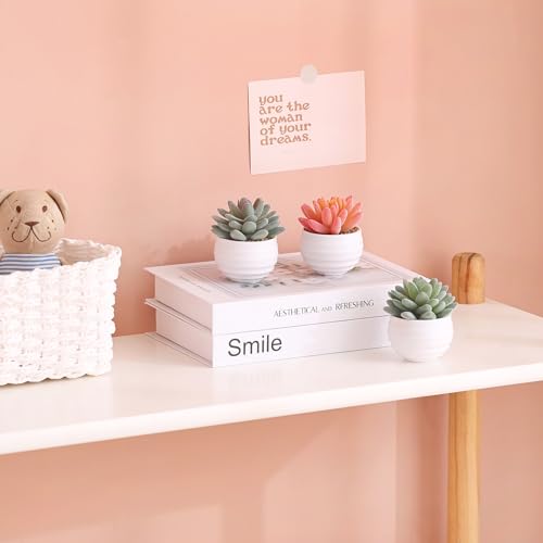 Artificial Succulents in Pots Fake Plants Ceramic Planter Desk Decoration S2622