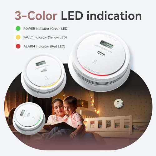 Smoke and Carbon Monoxide Detector Combo with LCD Display, 10-Year Battery P11769