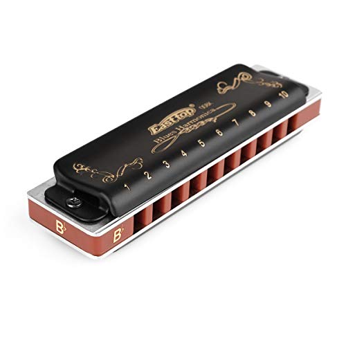 Harmonica Key of G 10 Hole 20 Tone with Case and Cleaning Cloth W30364