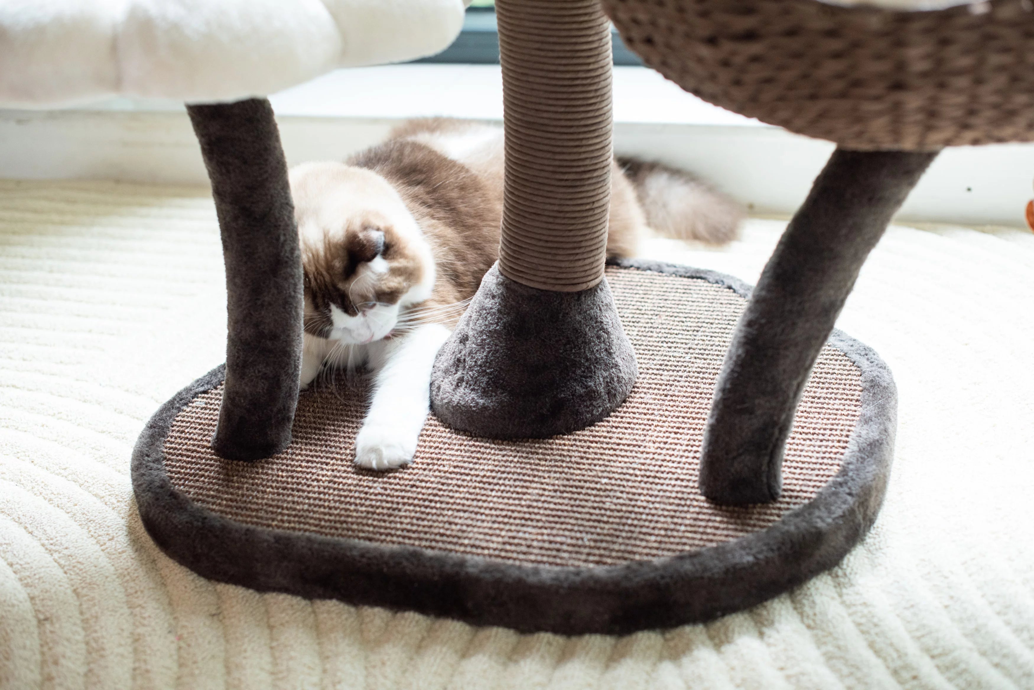 Natural Blossom Woven Tree Branches 6-Level Cat Tower with Hammock and Padded Perches L605