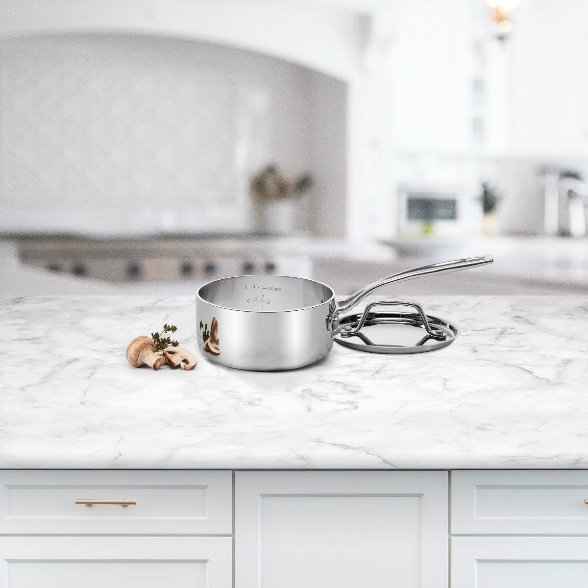 1 Qt. Stainless Saucepan with Cover V861772