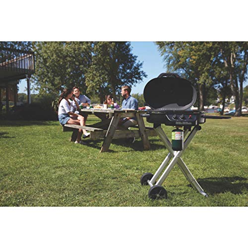 Portable Stand-Up Propane Grill with Push-Button Starter, Folding Legs & Wheels K8833
