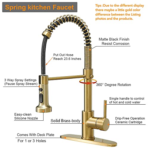 Spring Kitchen Faucet with Pull Down Sprayer, Single Handle W935702