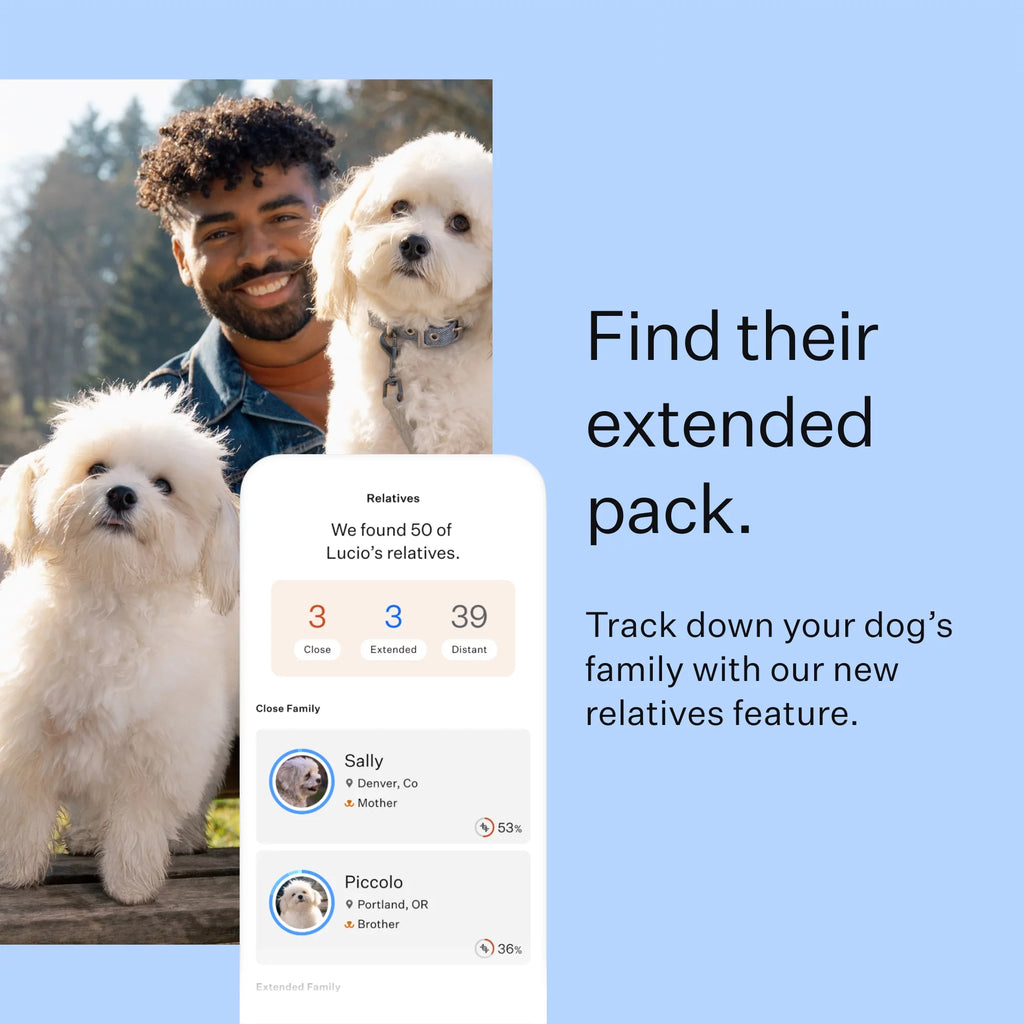 Dog DNA Test Kit for Breed Discovery F645924