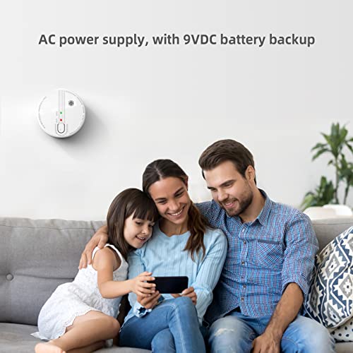 Hardwired Interconnected Smoke Detector with 9V Battery and Test/Silence Button B567