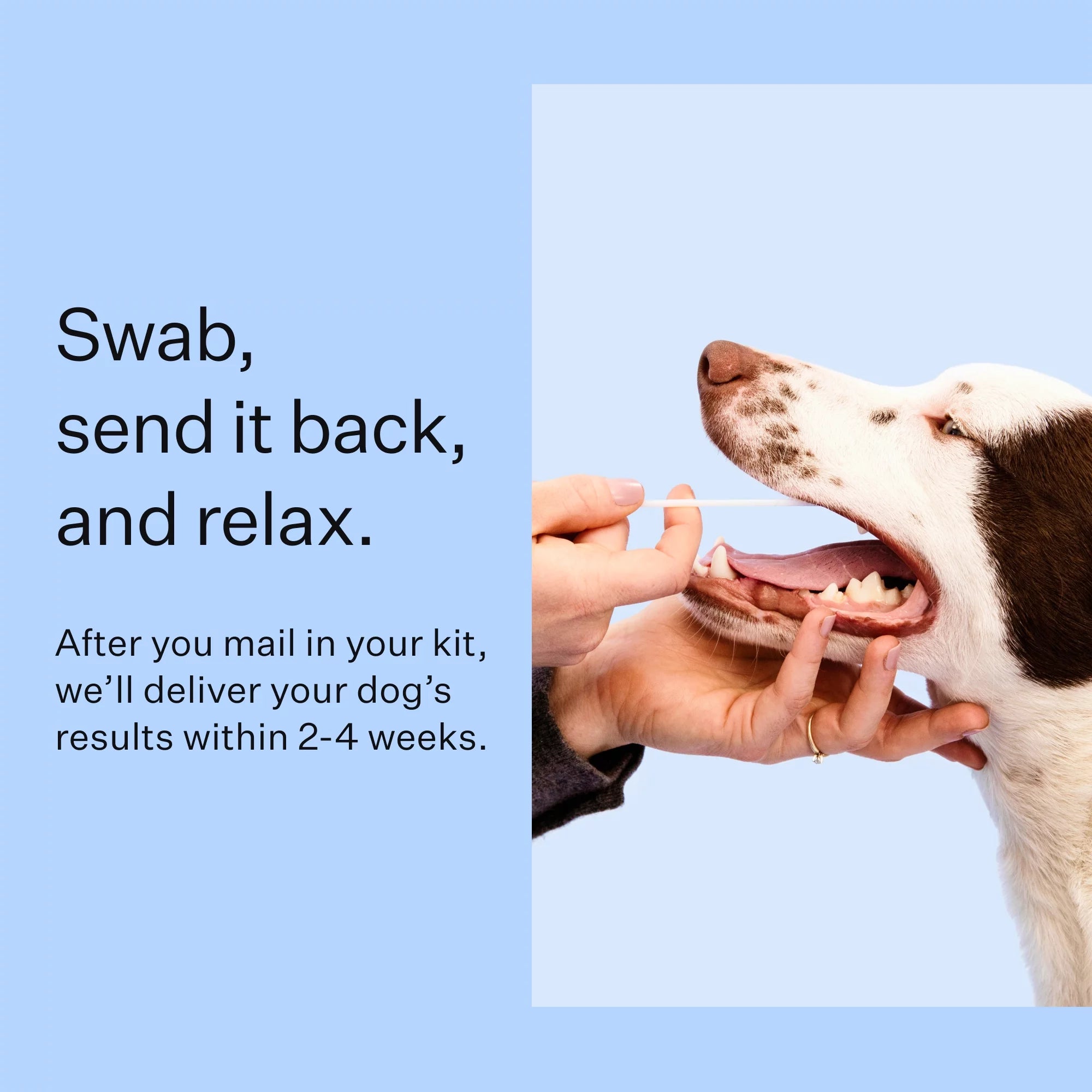 Dog DNA Test Kit for Breed Discovery F645924