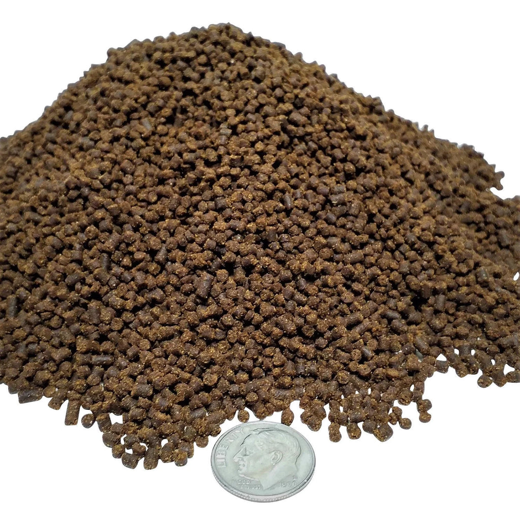 Soft Moist Sinking Crumbles for Baby Axolotl, 3-lb Bag B95739