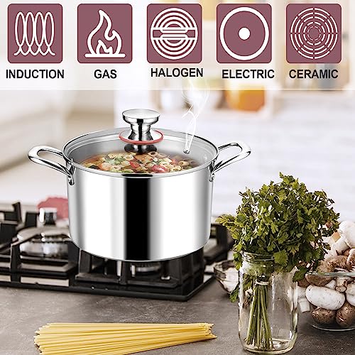 Stainless Steel Stock Pot with Lid, 12 Quart Soup Pot H83901
